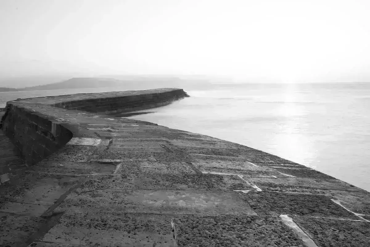 Lyme Regis harbour and the Cobb - holiday let management