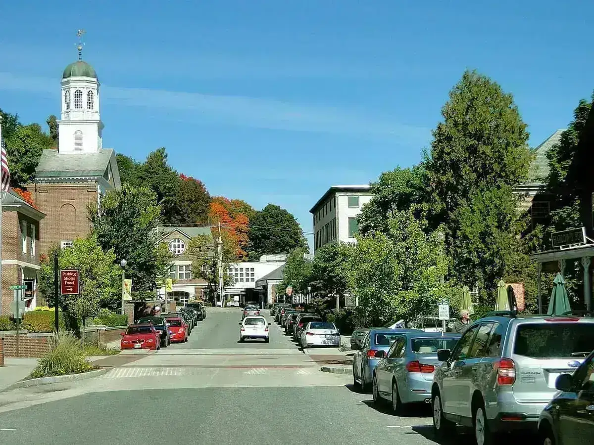 Ringwood market town on the edge of the New Forest - holiday let management
