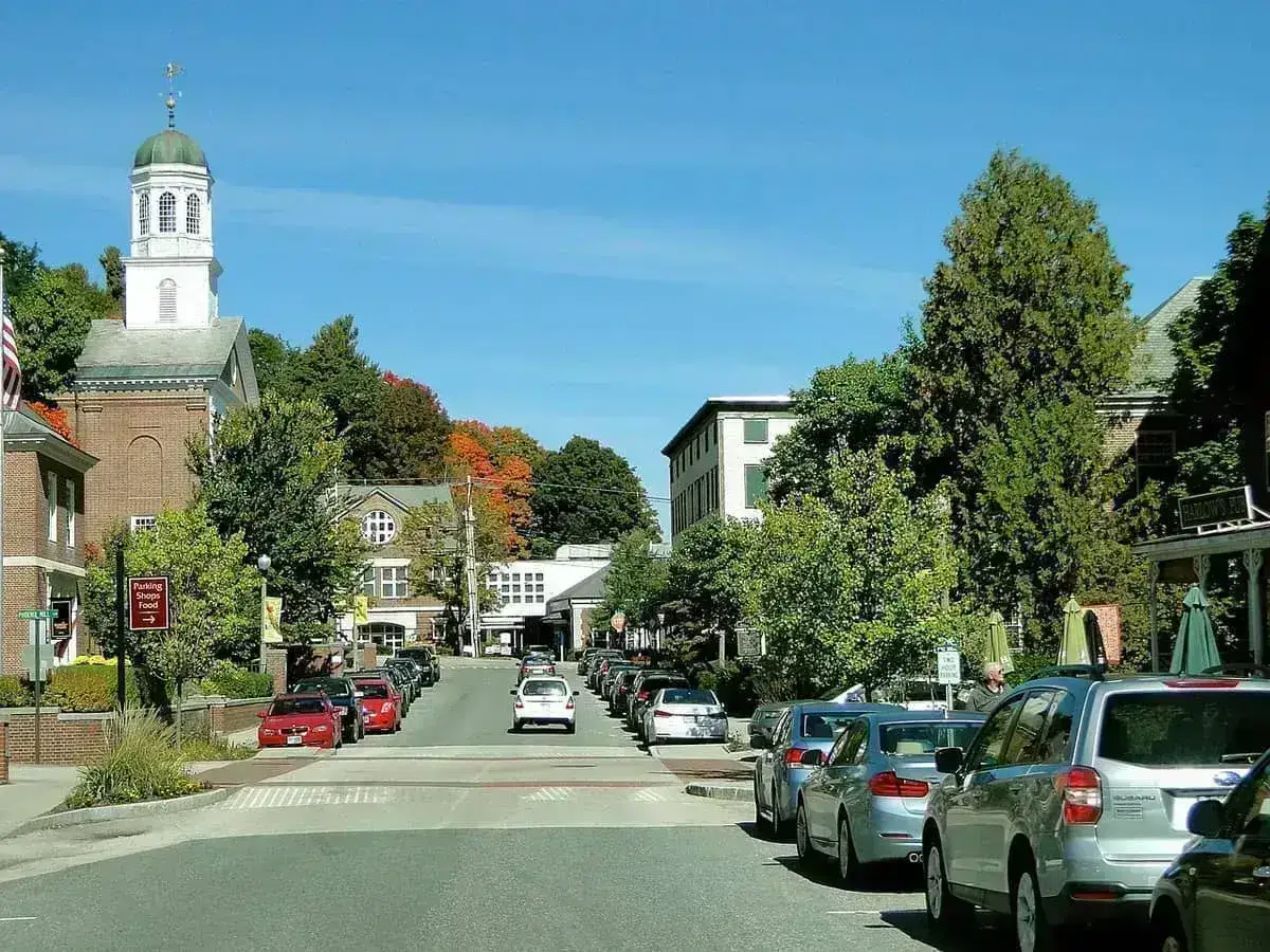 Ringwood market town on the edge of the New Forest - holiday let management