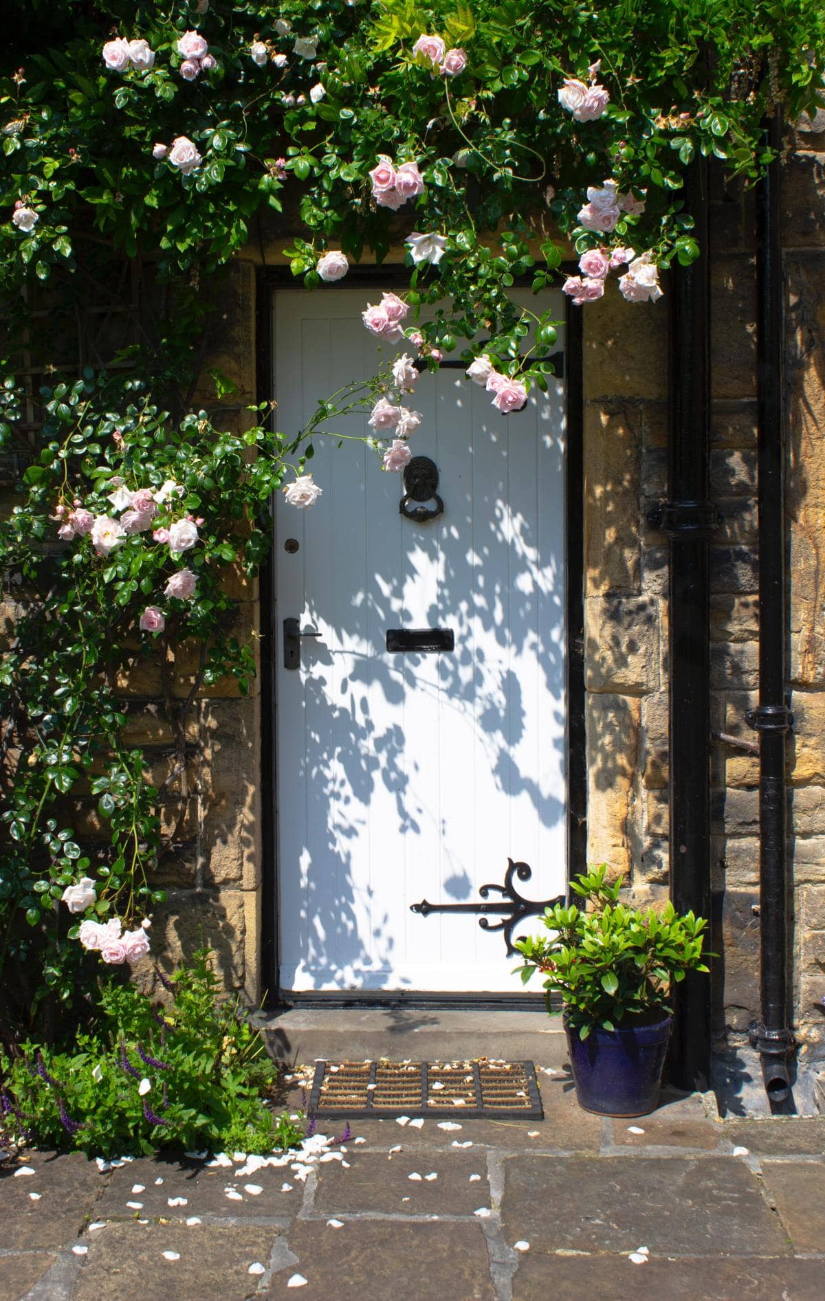 English stone cottage doorway with climbing pink roses — the charm of a Full Bed Hosts managed property